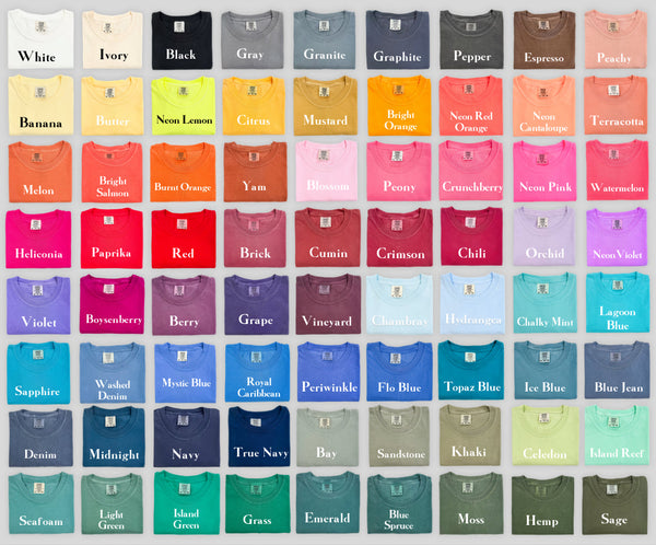 Game Day Cheer Pick Your Color Tee