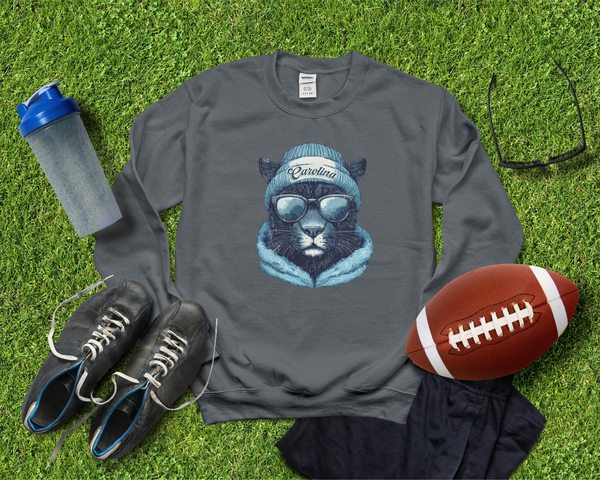 Vintage Carolina Football Graphic Crew